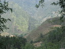 sapa